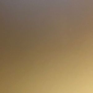 Meet your Posher, Ekaterina